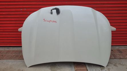 Toyota Highlander Front Hood Panel 2020-2024