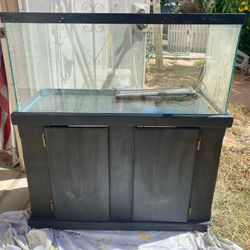 40 Gal Fish Tank 