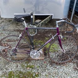 Trek 2120 