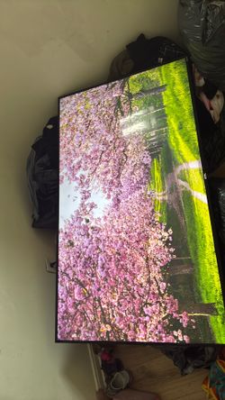 58 Inch Roku Tv