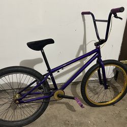 24” Mirra Co
