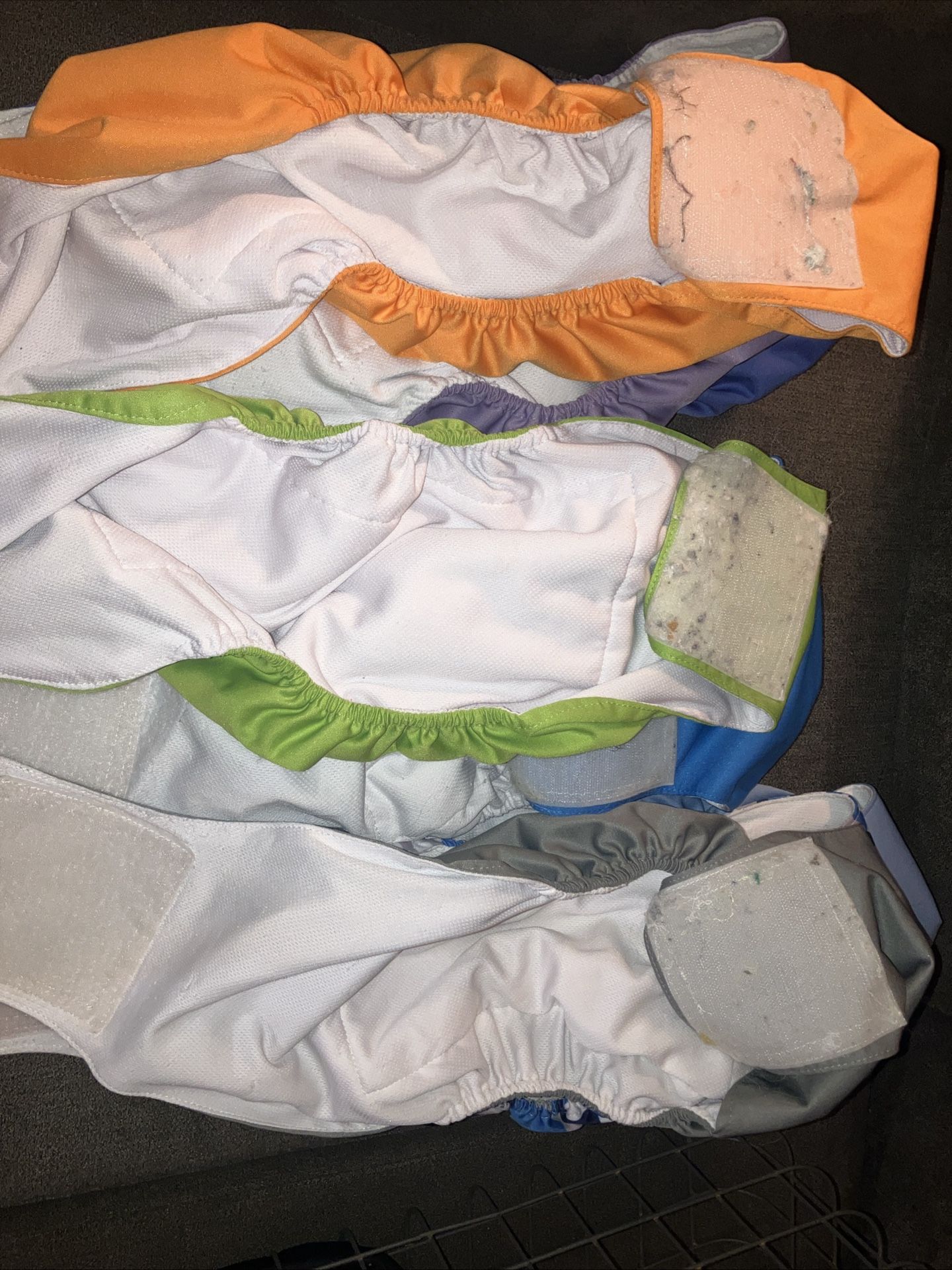XL dog Diapers. Waist Bands