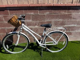 Schwinn discover