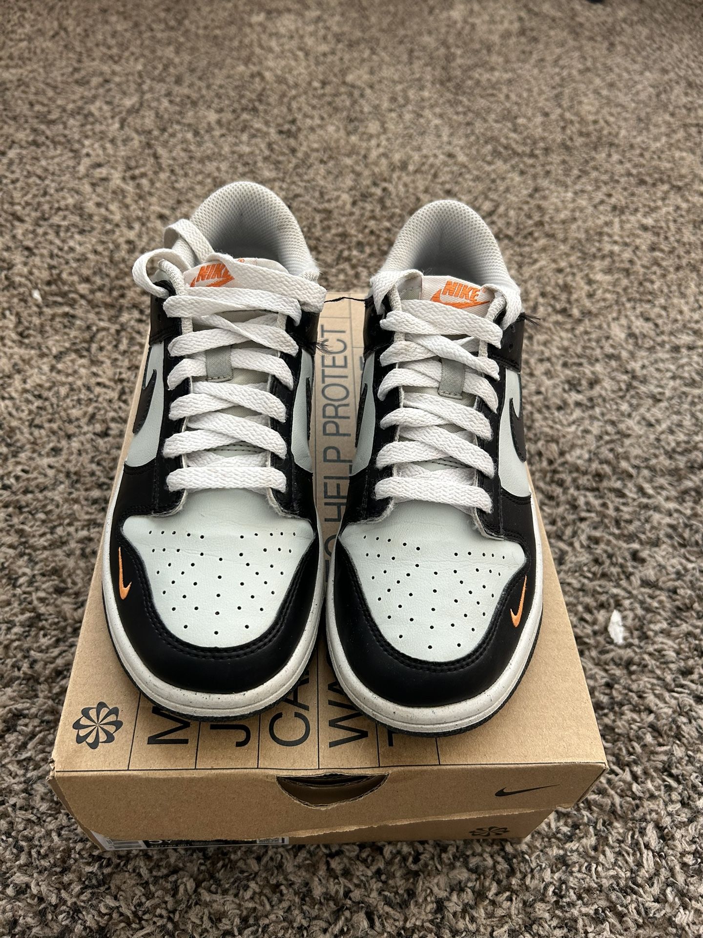 Nike Dunks (Size 5.5y)