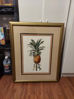 Large Pineapple Picture