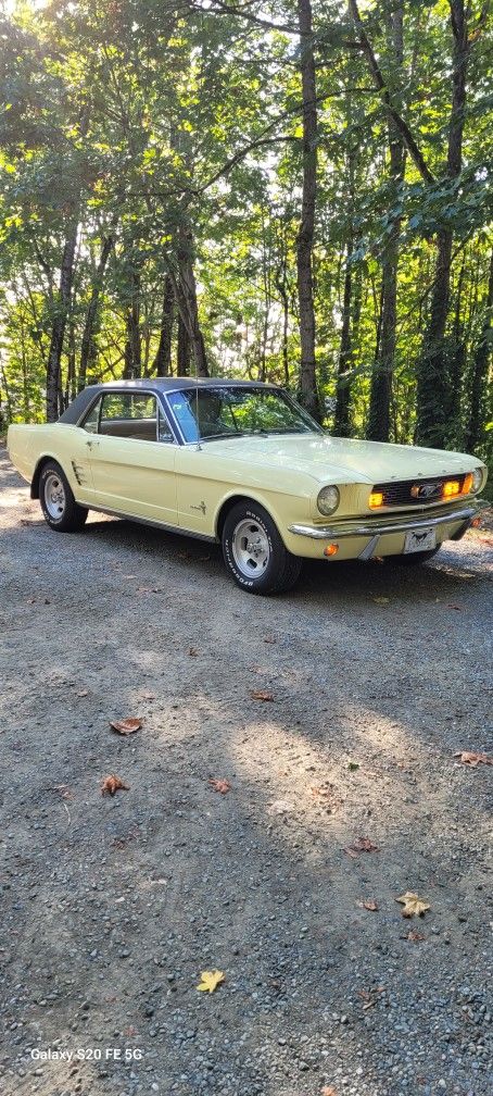 1966 Ford Mustang