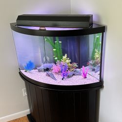 55 Gallon Corner Cabinet Fish Tank