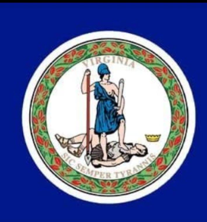 NEW HUGE VIRGINIA NYLON FLAG