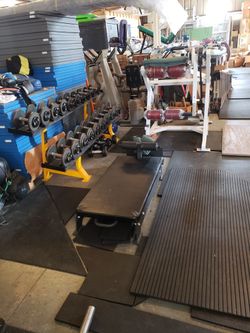 5-50 lb Pro Dumbbells With Rack