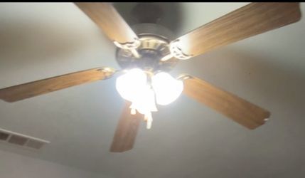 Ceiling Fans