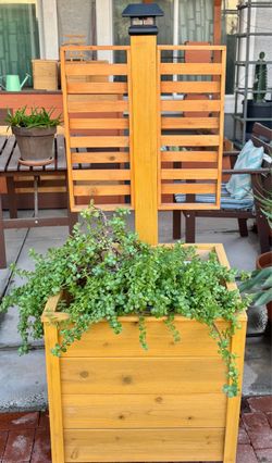 Cedar planter with Solar light and trellis