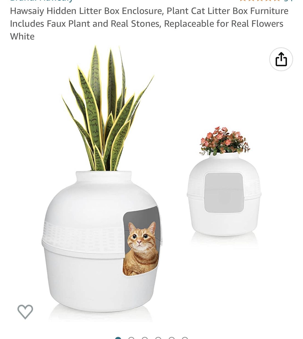 Cat Hidden Litter Box