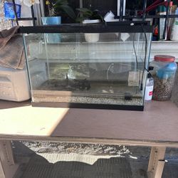 25 Gallon Fish Tank With Accesories