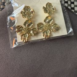 Earrings ,designed to elevate everyday style