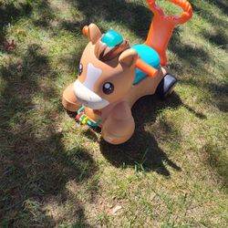 Walk, Bounce, N Ride Pony