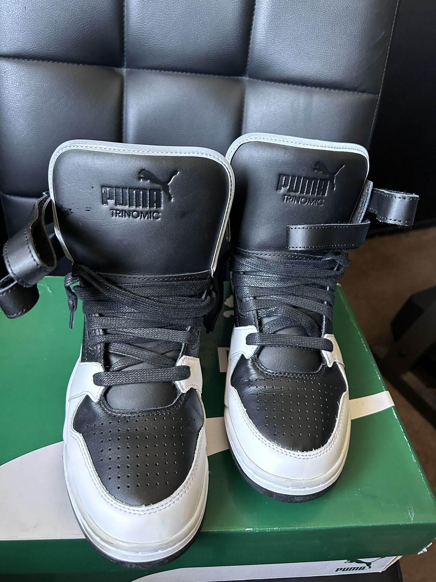 Puma
