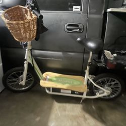 Electric scooters