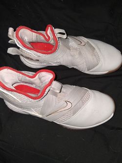 Lebron james basketball shoes