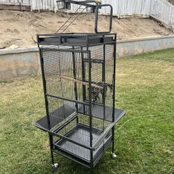 Bird Cage