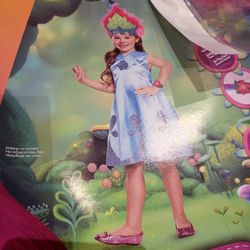 Trolls custome for 4 -6 years girl 