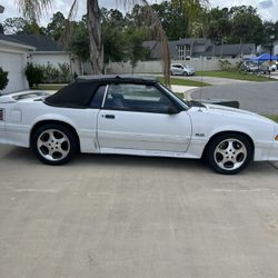 Foxbody 5.0  89