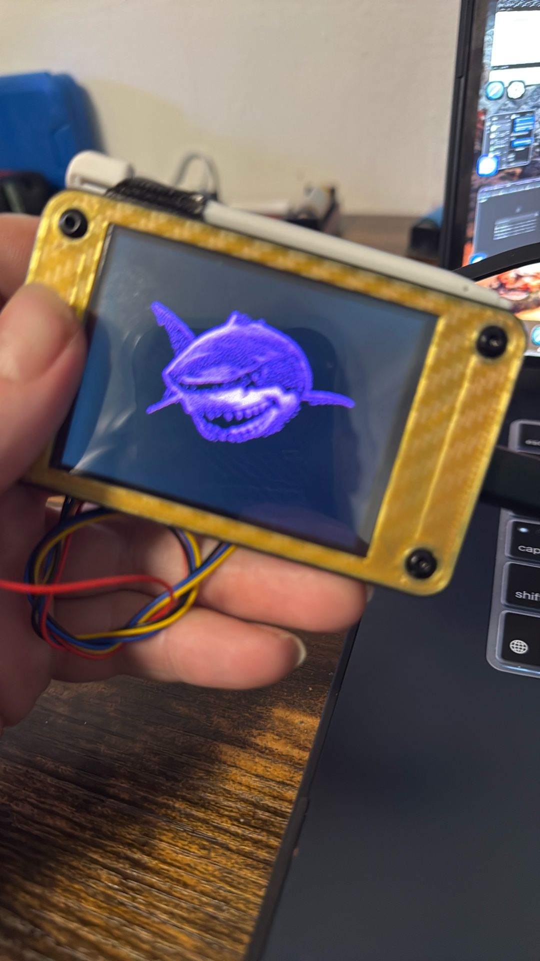 Bruce Hacking Device