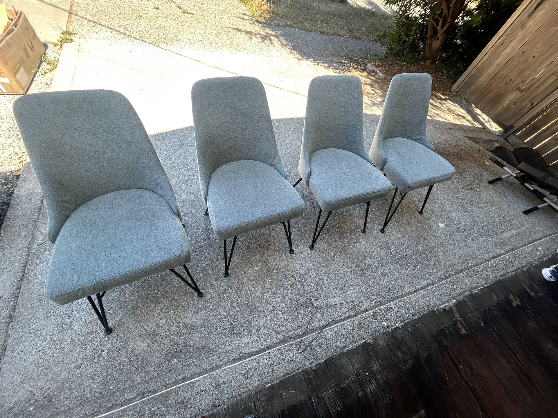 Dining Chairs