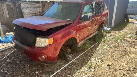 2010 Ford Escape