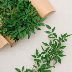 Artificial Willow Vines Garland Italian Ruscus Vine, 5 Pack  Real Touch Silk Hanging Greenery Washable Fake Vines for Home Decor Wedding Party Outdoor