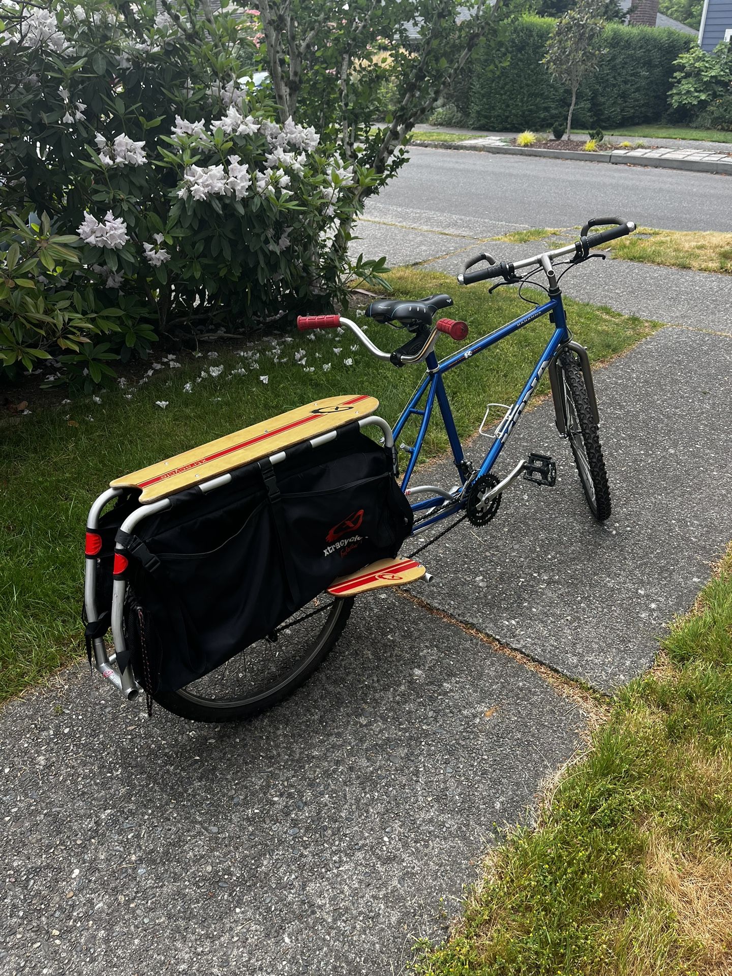 Extracycle Free Radical Cargo Attachment