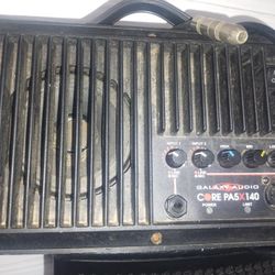 Guitar Amplifier Speaker