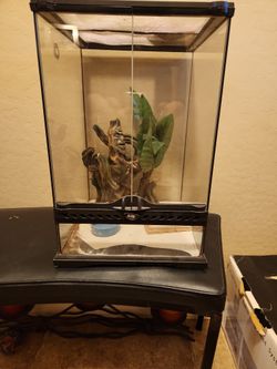 Exo Terra upright terranium