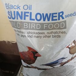 Black Oil Sunflower  Wild Bird Seed