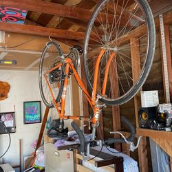 Sears Bike 
