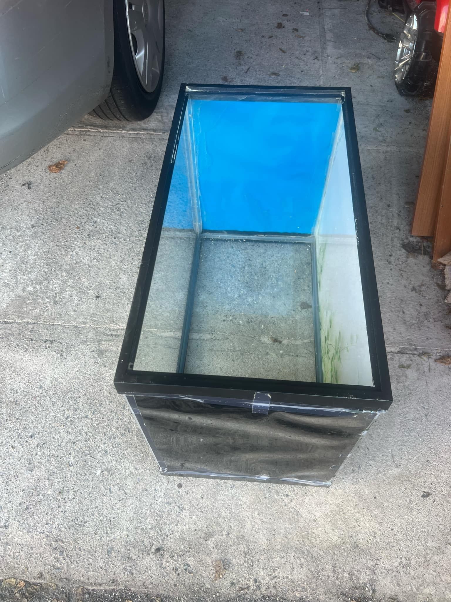 Fish Tank 