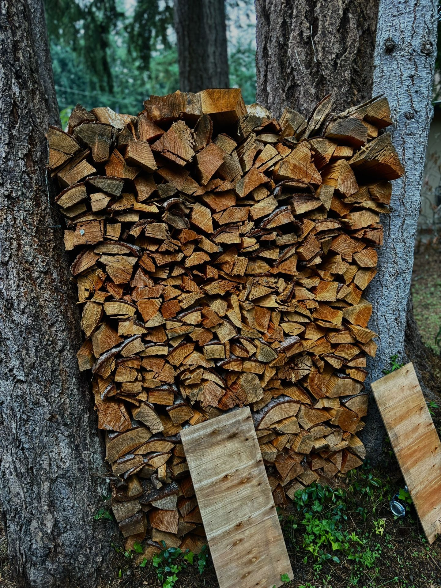 FIREWOOD