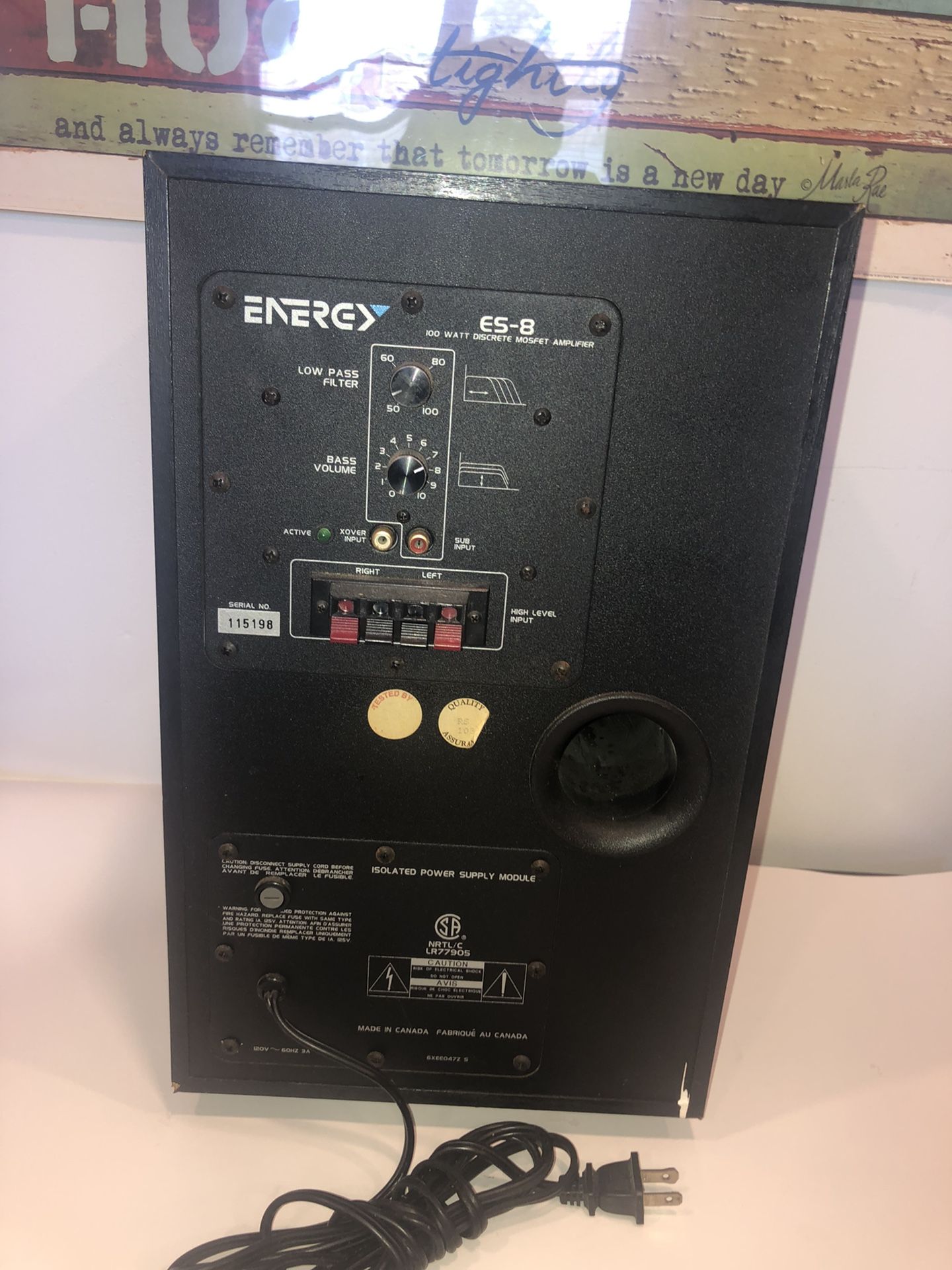 Energy ES SUBWOOFER SPEAKER 100 W/RMS Bass Reflex - Main Image