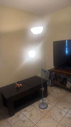 Stand light