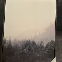 Forest Landscape Wall Art