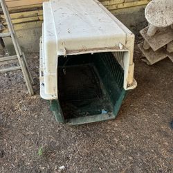 Dog Cage 