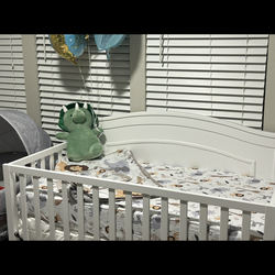 Crib with mattress
