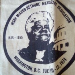 Mary  McLoad Bethune Political 