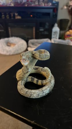 Little rattlesnake good to put  near plants or for Halloween a lot of different things