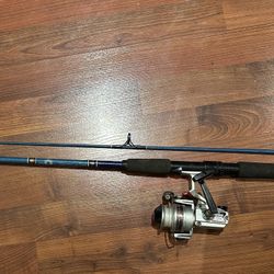 Classic Daiwa Spinning Combo