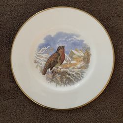 Coalport Bone China Plate “ The Robin”