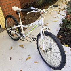 Awesome Trek Bike 24”