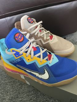 LeBron 18 Low “Wile E. vs Roadrunner” Basketball Shoes 