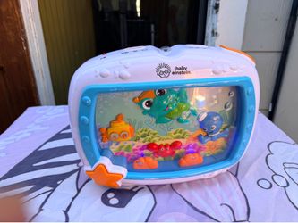 Baby Einstein