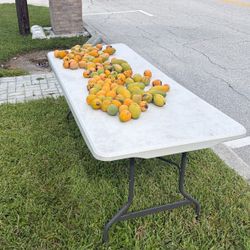 FREE Mangos 07/07/26 @ 4;45