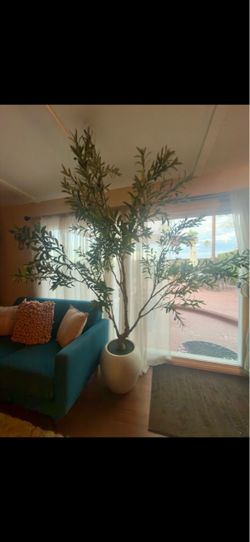 Large Faux Olive Tree in White Planter